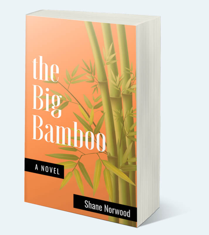 The Big Bamboo by Shane Norwood